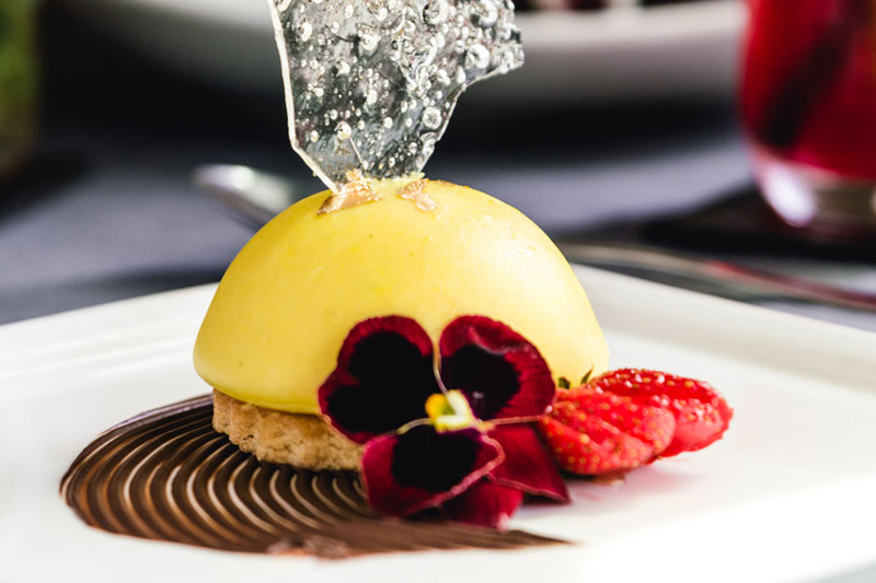 Passion Kiwi Cheesecake – Dessert